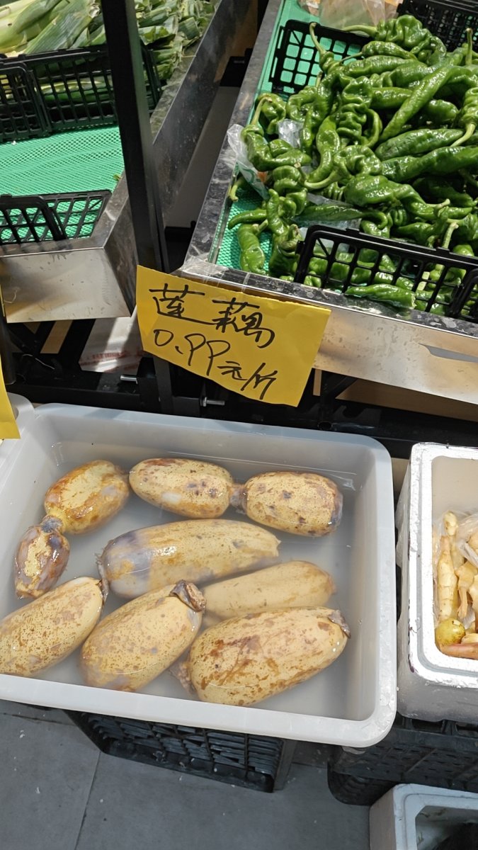 原葵花籽 - 图2