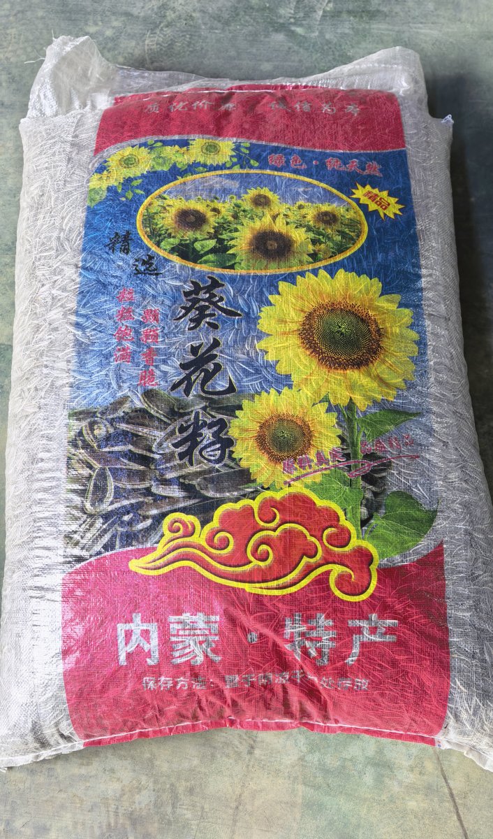 生葵花籽-三瑞11号
